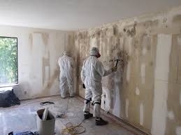 Trusted Lynchburg, VA Mold Removal Experts